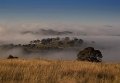 dairy farmers lookout from the pinnacle